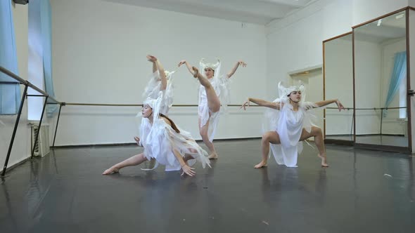 Slow Motion Rehearsal of Four Slim Charming Caucasian Women in Dance Studio