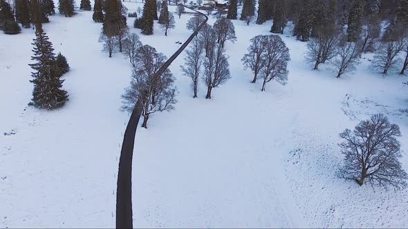 Aerial view of a car driving on a country road surrounded by trees during a snow-covered winter.