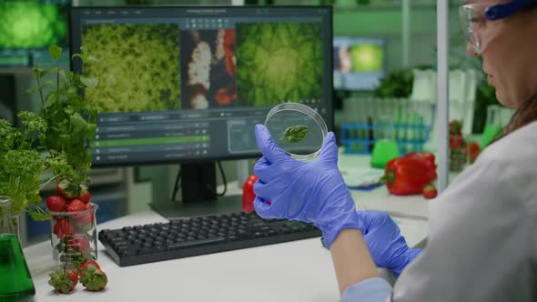 Botanist Researcher Holding Petri Dish with Green Leaf Sample Analyzing Genetic Mutation