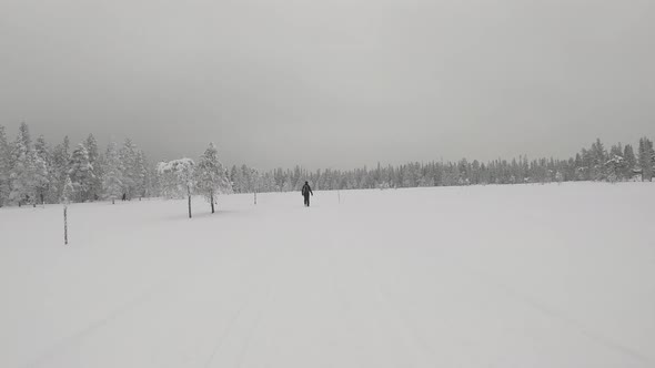 Timelapse walk in snowy field