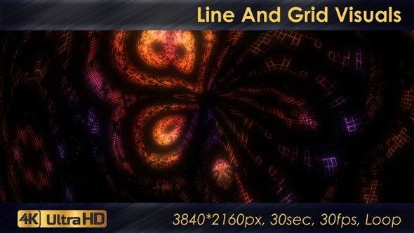 Line And Grid Visuals