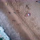 Aerial view sea coast tourist drone flying up of sandy beach. View beautiful beaches - VideoHive Item for Sale