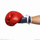 Boxing Punch Bag