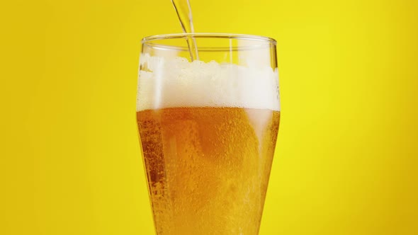 Foamy Beer in Glass Closeup