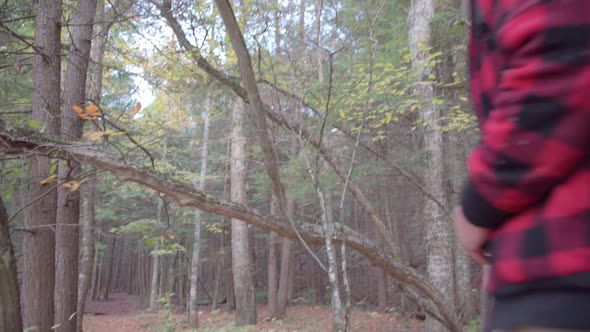 An older man going on a scenic hike through a forest in the mountains.