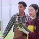 asian male and female farmer checking quality of greenhouse hydroponic farm - VideoHive Item for Sale
