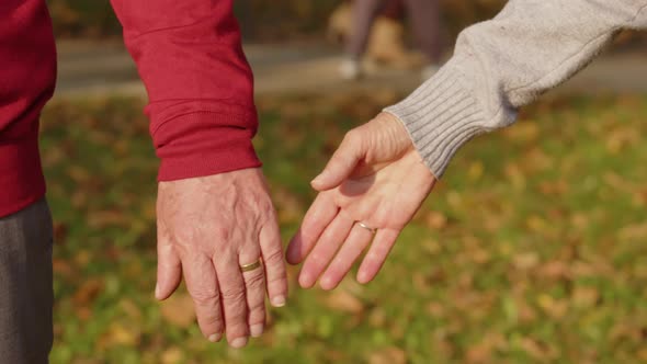 Old Couple Holding Together Hands in Autumn Park  Close Up Shot