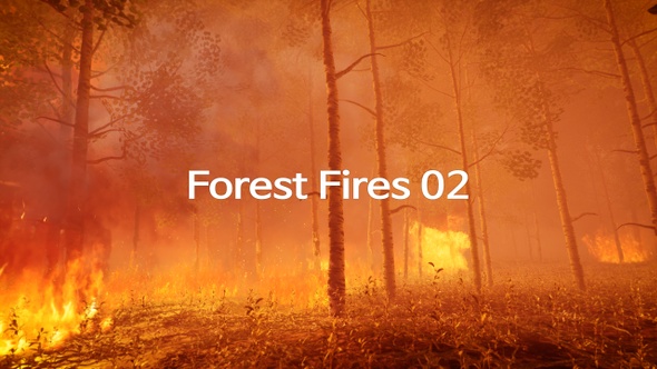 Forest Fires 02