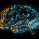 Brain System Hologram - VideoHive Item for Sale