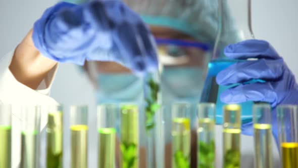 Lab Assistant Comparing Liquids in Tube and Flask and Dripping Yellow Substance