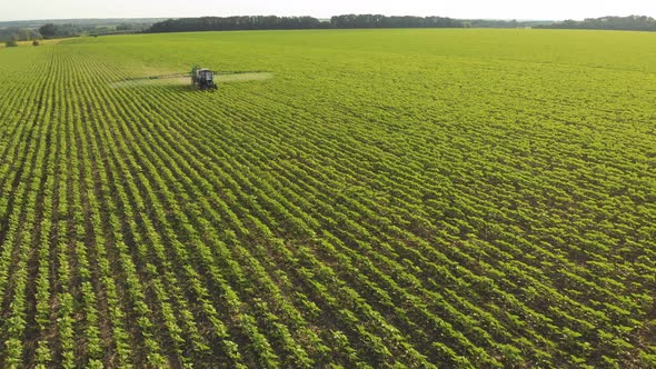 Aerial View of Farming Tractor Spraying on Field with Sprayer Herbicides and Pesticides at Sunset