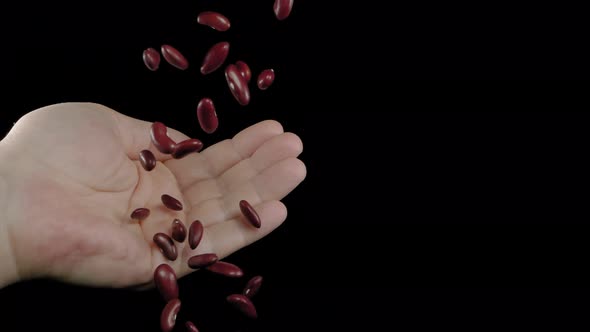 Red Beans Will Fall Into the Hand on a Black Background