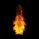 Burning flames from start to finish with ProRes Isolated by Alpha channel (transparent background) - VideoHive Item for Sale