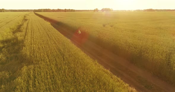 Aerial View on Young Boy, That Rides a Bicycle Thru a Wheat Grass Field on the Old Rural Road