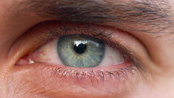 Beautiful Blinking Male Eye Closeup