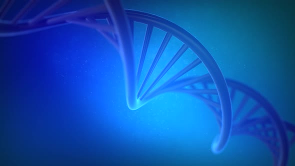 DNA Rotating Double Helix Loop