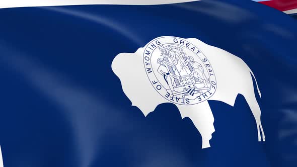 Wyoming State Flag