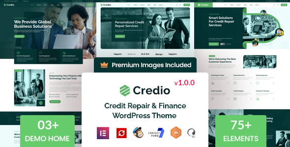 Credio – Finance Business and Credit Repair WordPress Theme – 0 Sold!