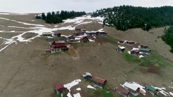 Pokut Snow