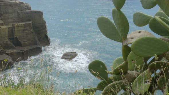 Choppy Sea Rolling Waves Against Rocky Cliffs Shown from Above with Cactus Aside