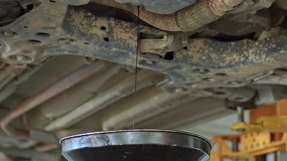 Draining The Old Oil Of The Car Engine In The Repair Shop