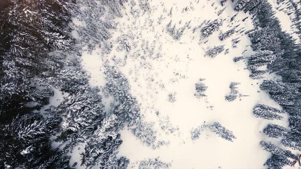 Winter Title And Logo Background Aerial Over Snow Covered Mountain Forest alt