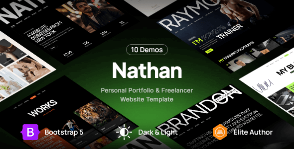 Personal Resume CV Portfolio Website Template - Nathan