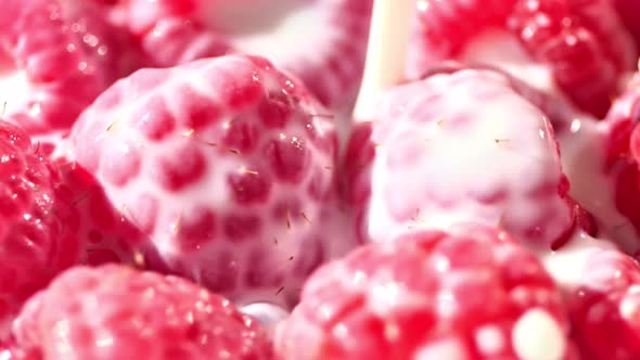High Angle Close Up Juicy Red Raspberries in White Milk or Yogurt or Cream