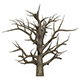 Game Ready Dead Tree 05 - 3DOcean Item for Sale
