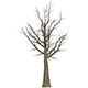 Game Ready Dead Tree 06 - 3DOcean Item for Sale