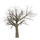 Game Ready Dead Tree 08 - 3DOcean Item for Sale