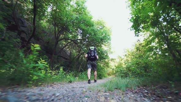 traveler in sportswear with backpack is walking along a path in the wood