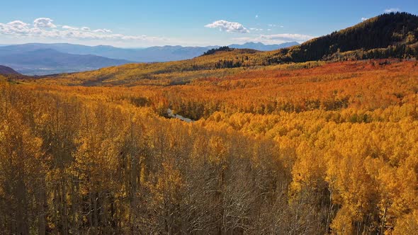 Flying low over trees viewing golden valley in the Utah Mountains during Fall