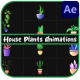 House Plants Animations for After Effects - VideoHive Item for Sale