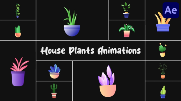 House Plants Animations for After Effects