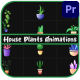 House Plants Animations for Premiere Pro - VideoHive Item for Sale