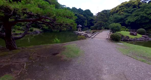 POV walking in Yoyogi park