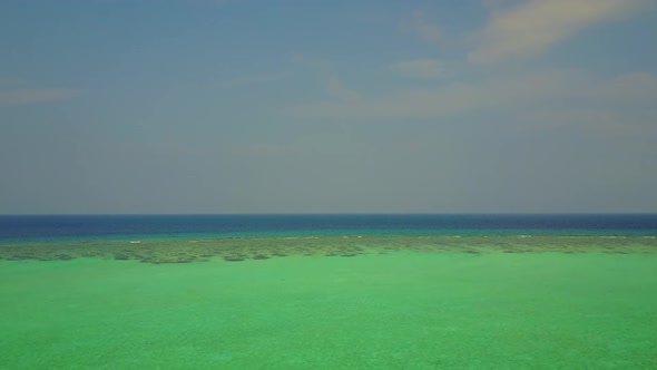 Drone texture of exotic seashore beach wildlife by blue lagoon with sand background