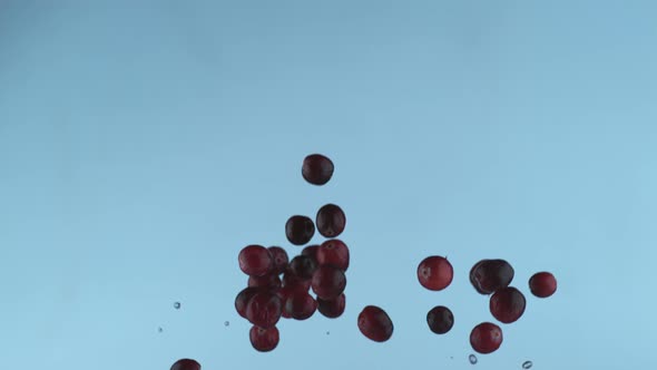 Fresh cranberries in slow motion, shot with Phantom Flex 4K at 1000 frames per second