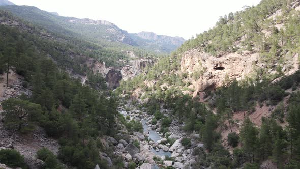 Drone Footage Streambed In Forest