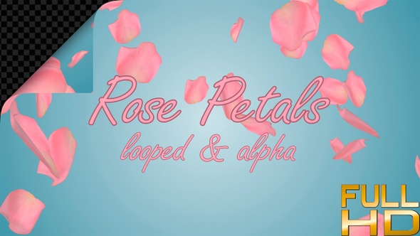 Valentines Day Pink Petals alt