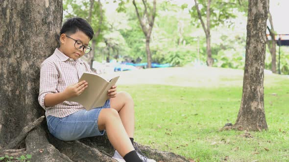 Boy reading book