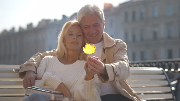 Elegant Elderly Couple Relaxing on Bench in City and Holding Yellow Tree Leaf