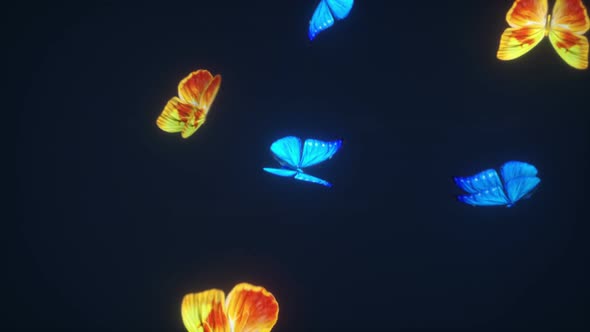 Beautiful Butterflies Background