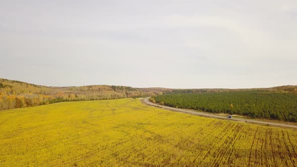 Car On The Autumn Country Road