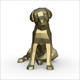 labrador - 3DOcean Item for Sale