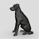 border collie labrador mix - 3DOcean Item for Sale