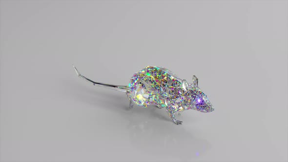 Walking Diamond Rat