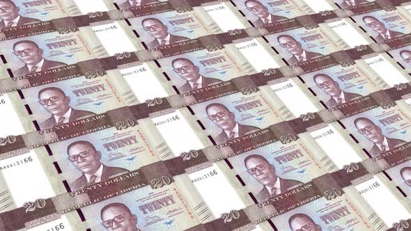 Liberia  Money / 20 Liberian Dollar 4K