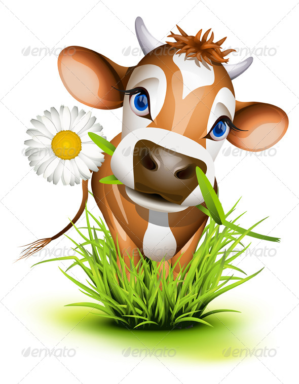 Jersey Cow in Grass